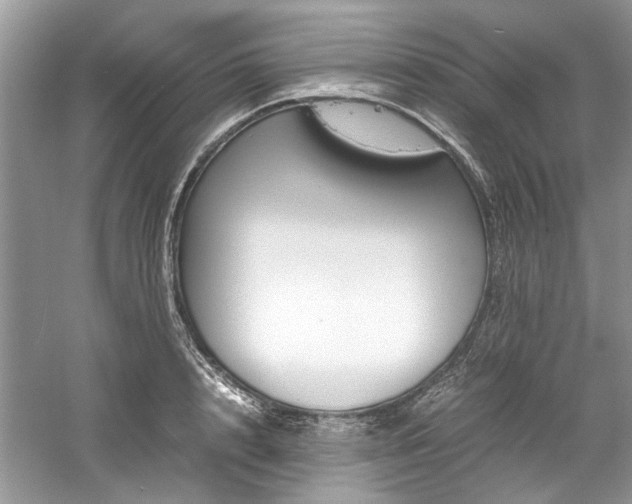 X0000061110848200511181128