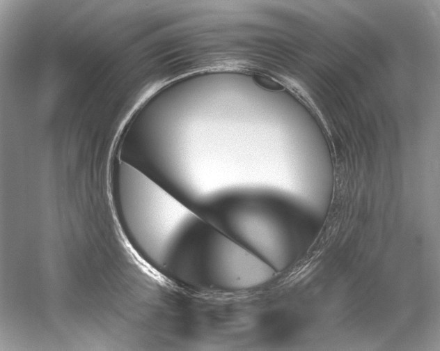 X0000061110851200511181128