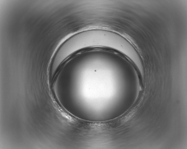 X0000061110854200511181128