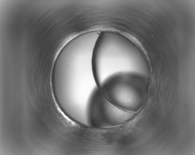 X0000061110855200511181128