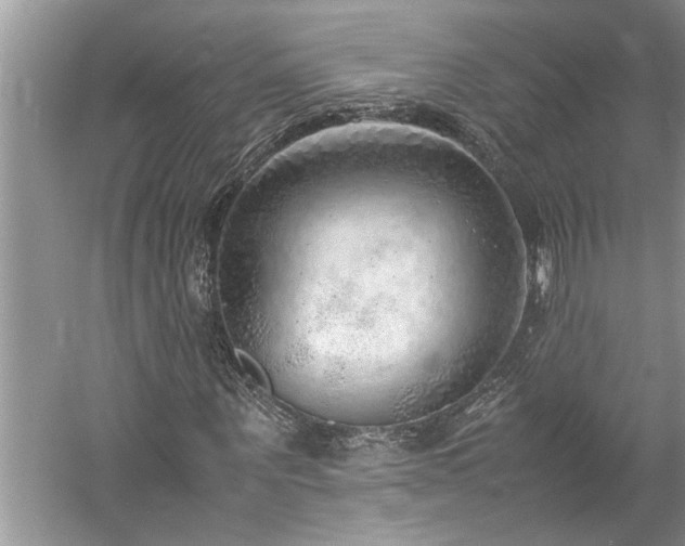 X0000061110867200511181127