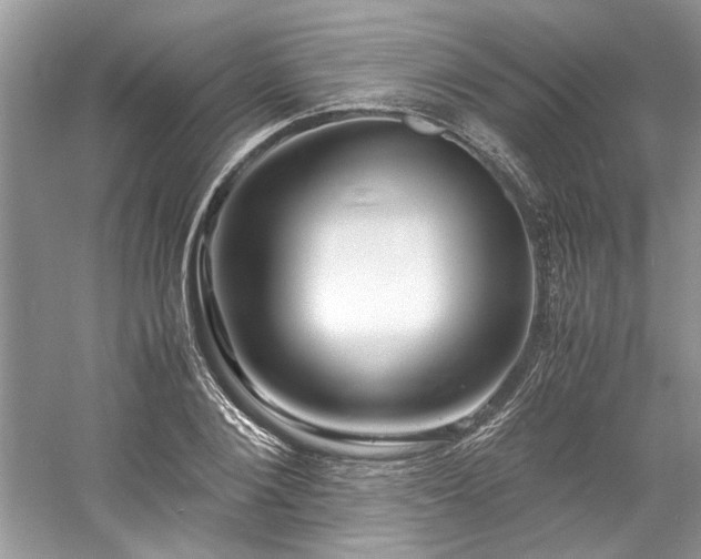 X0000061110884200511181127