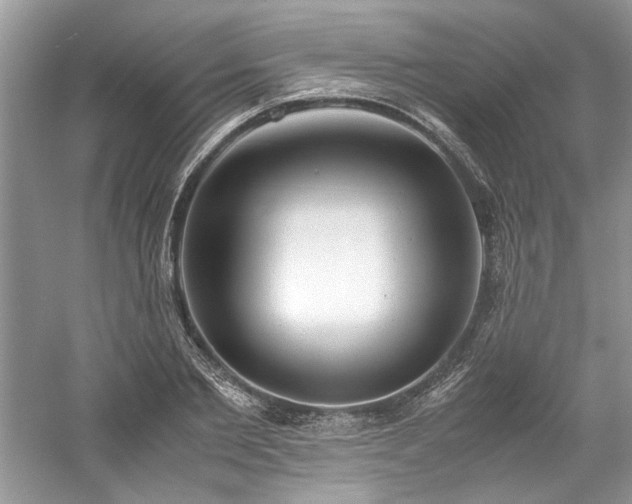 X0000061110885200511181127