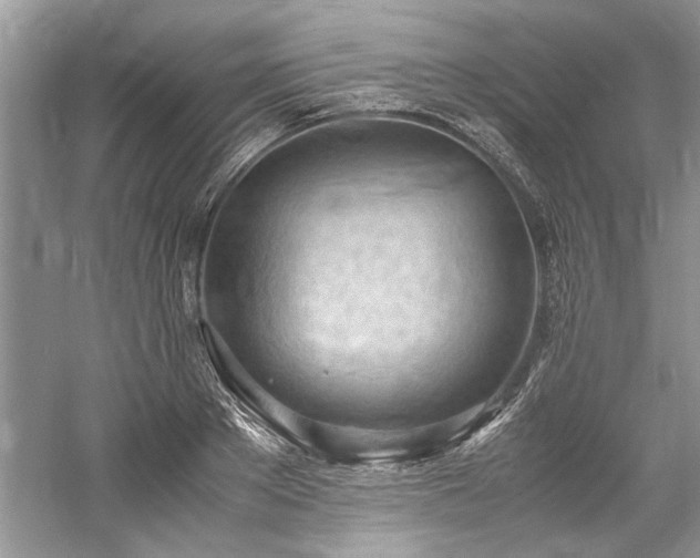 X0000061110889200511181127