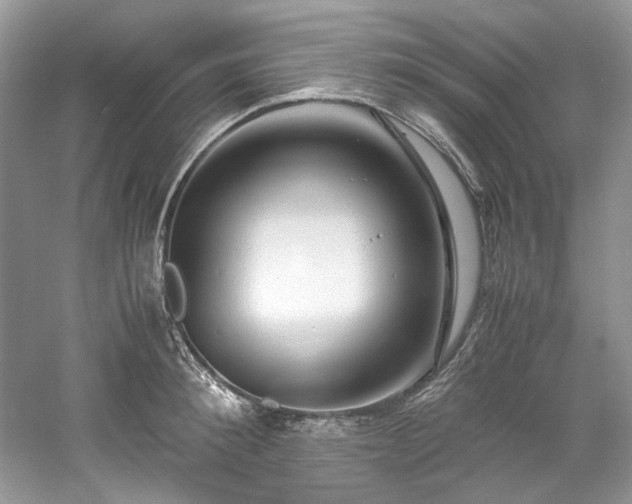 X0000061110900200511181126