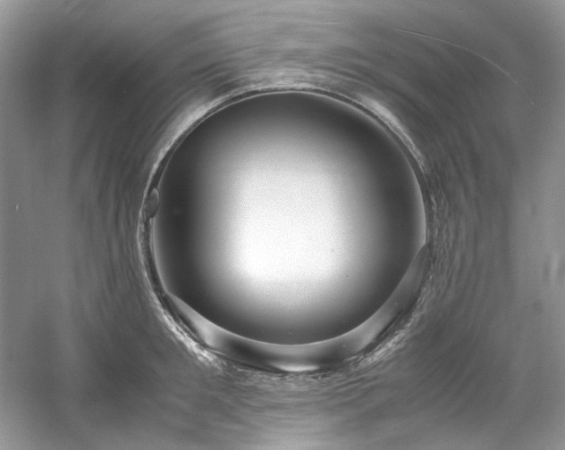 X0000061110901200511181126