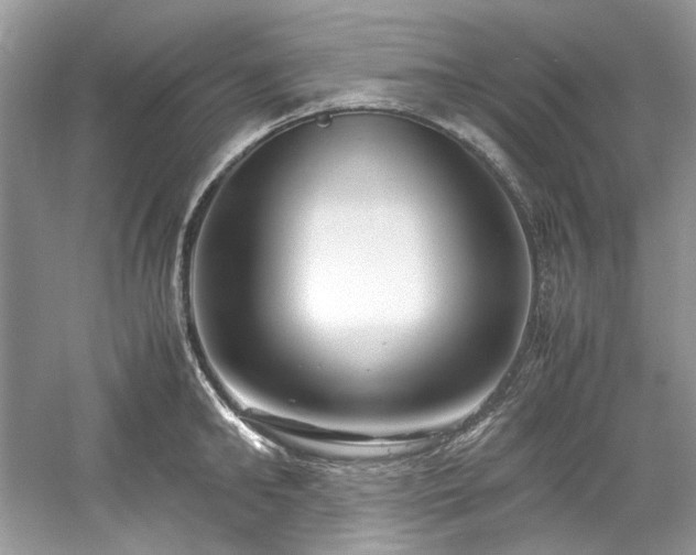 X0000061110902200511181126