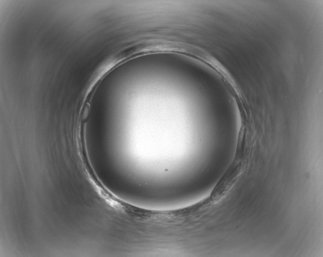 X0000061110909200511181126
