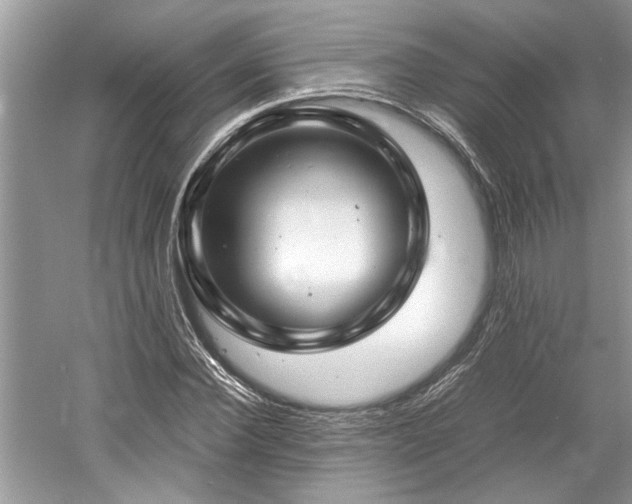 X0000061110924200511181126