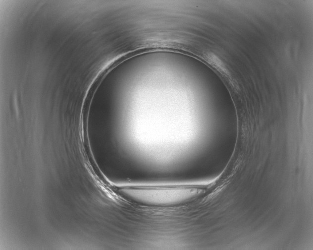 X0000061110940200511181126