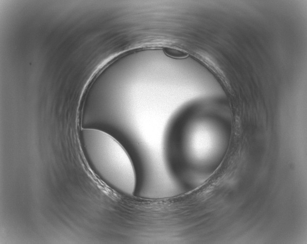 X0000061110948200511181126
