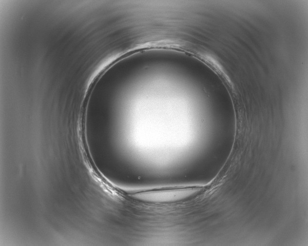 X0000061110952200511181126