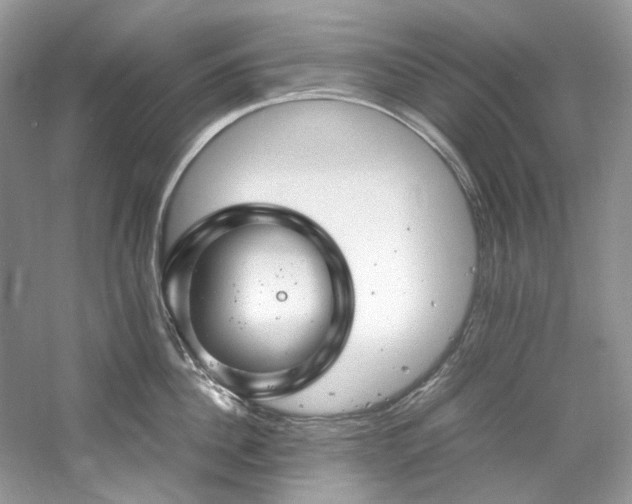 X0000061110956200511181126