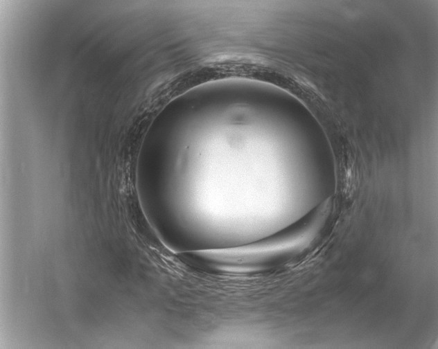 X0000061110965200511181125