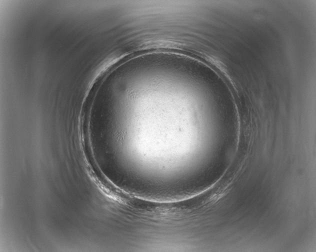 X0000061110987200511181125