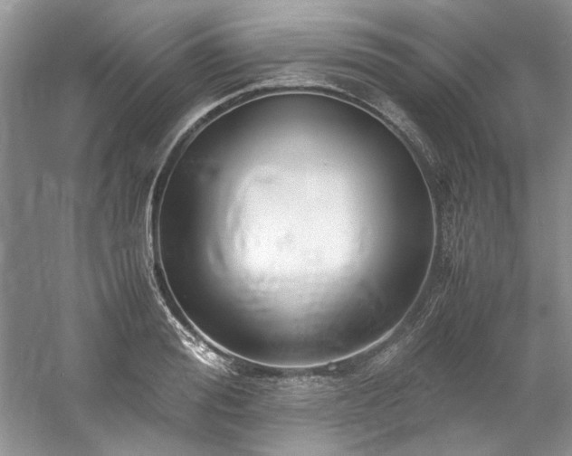 X0000061110988200511181125