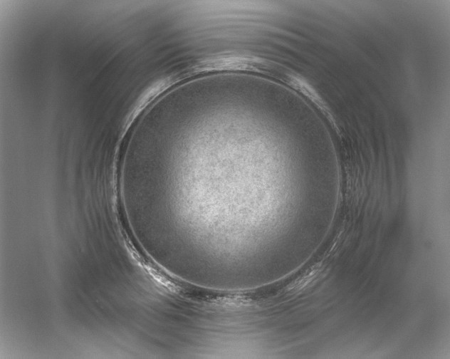 X0000061110994200511181125