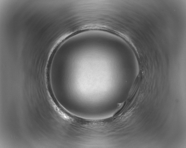 X0000061110995200511181125