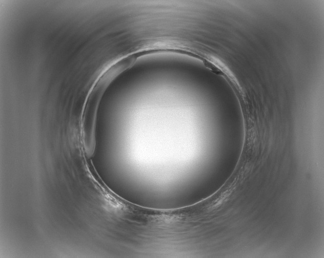 X0000061110996200511181125