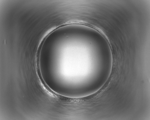 X0000061111003200511181125
