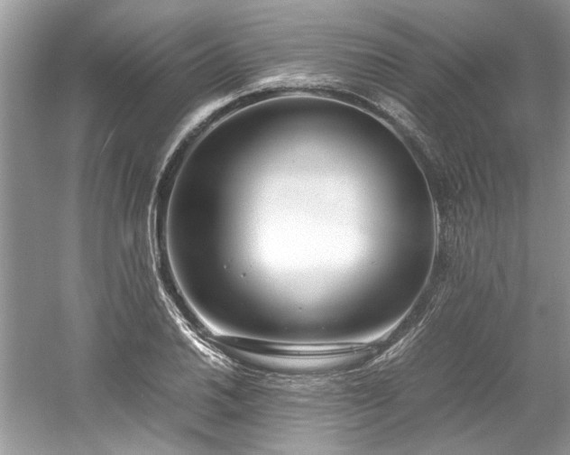 X0000061111030200511181124