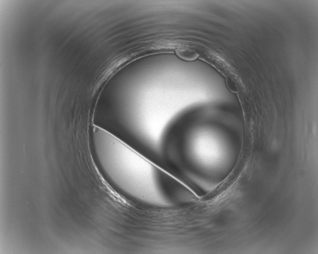 X0000061111033200511181124