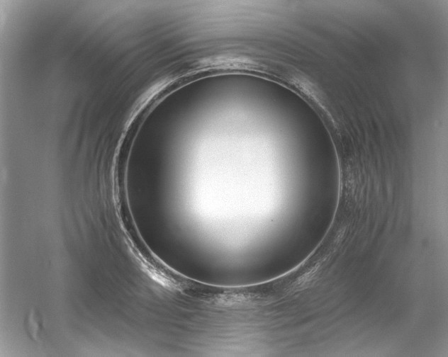 X0000061111082200511181123