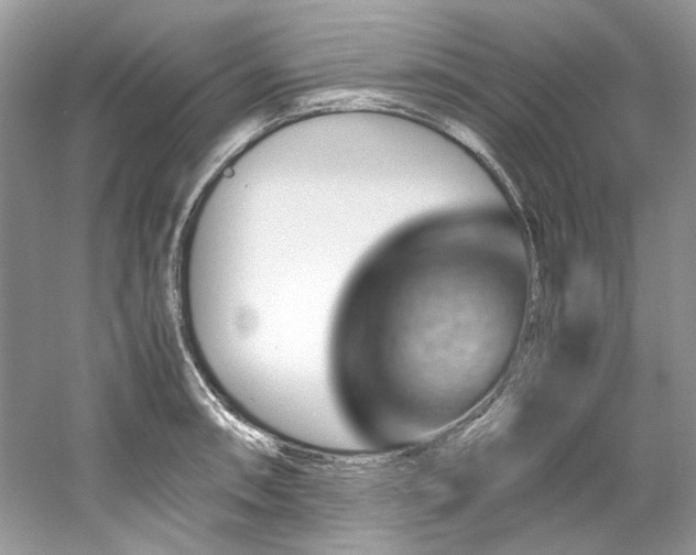 X0000061111090200511181123