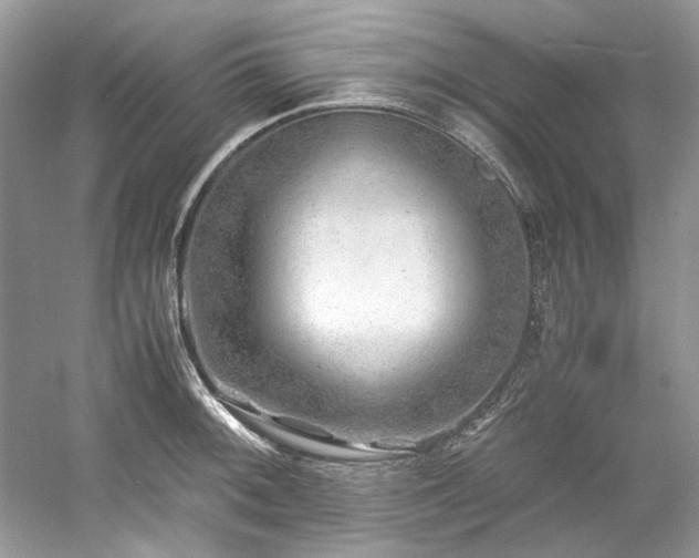 X0000061111092200511181123