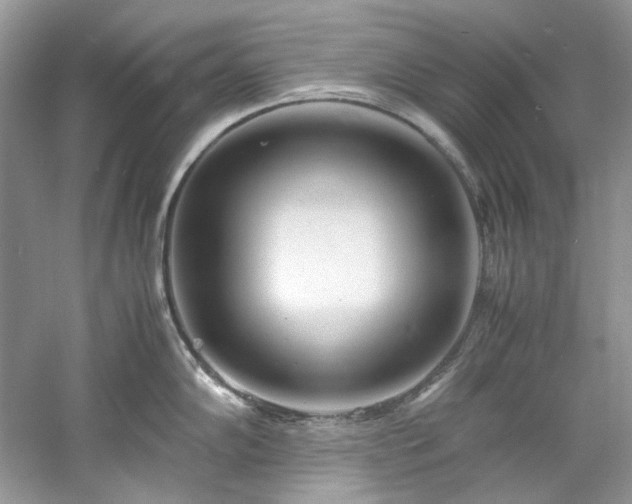 X0000061111102200511181123