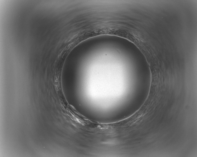 X0000061111109200511181122