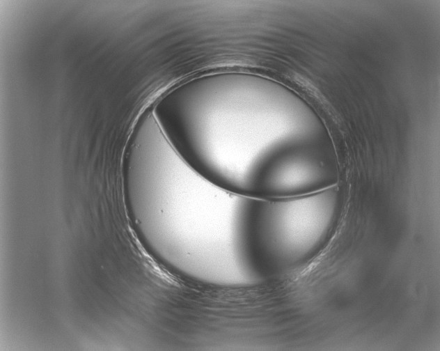 X0000061111129200511181123