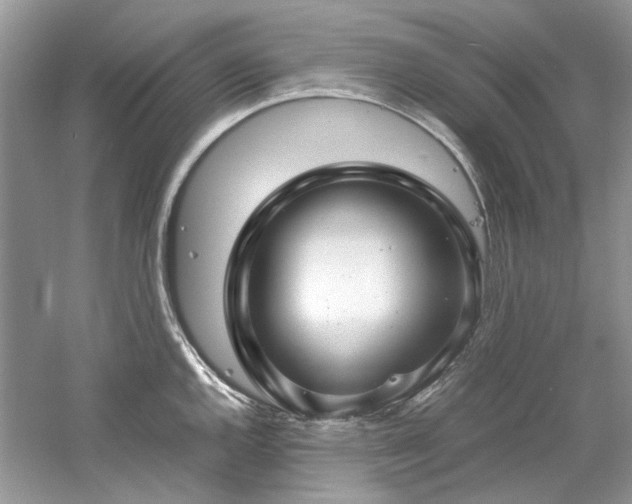 X0000061111144200511181123