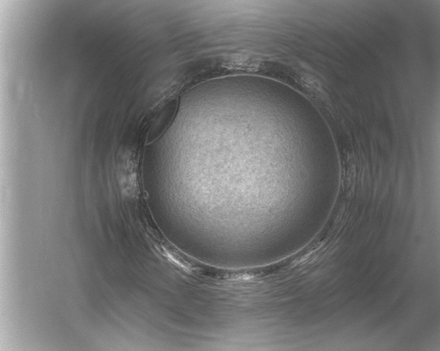 X0000061111154200511181122