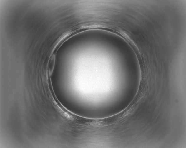 X0000061111189200511181121