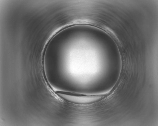 X0000061111192200511181121