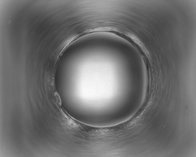 X0000061111193200511181121
