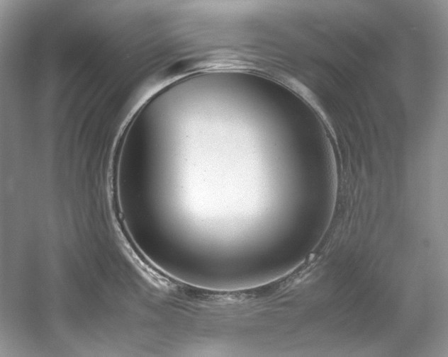 X0000061111195200511181121