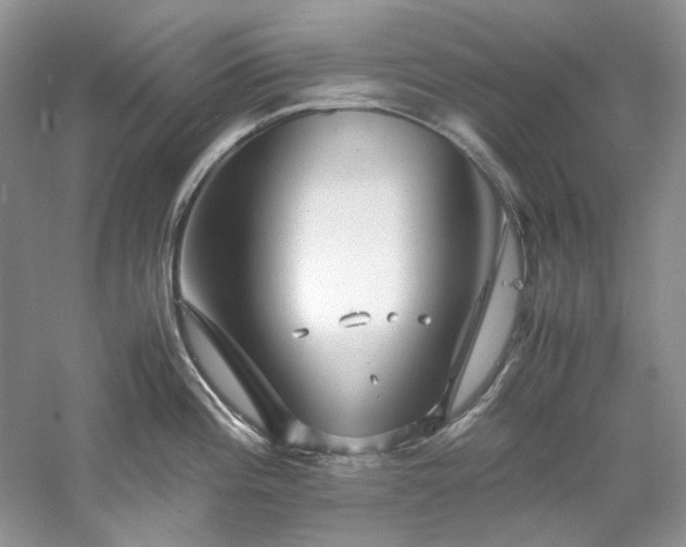 X0000061111196200511181121