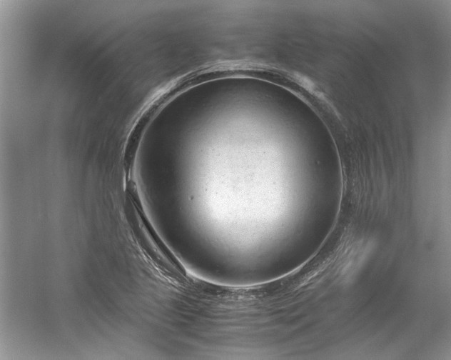 X0000061111221200511181121