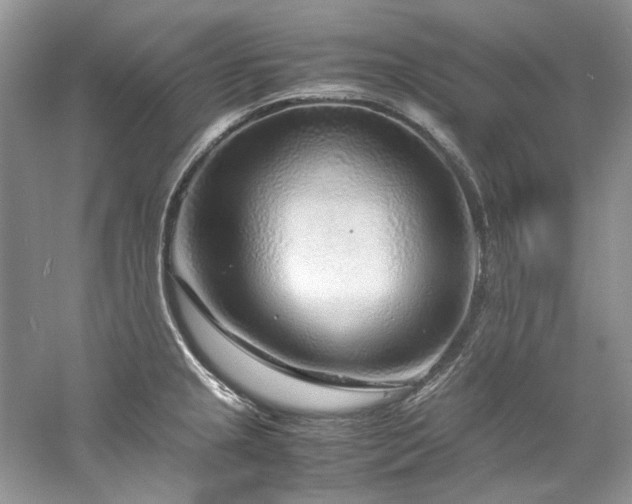 X0000061111237200511181121