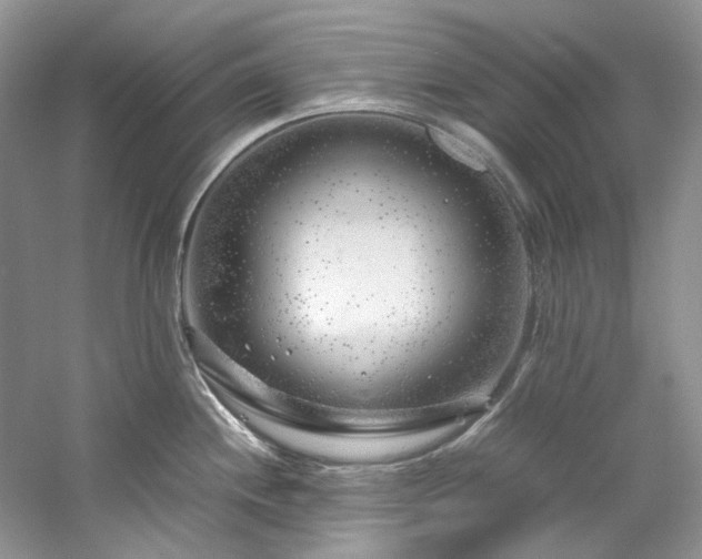 X0000061111244200511181121