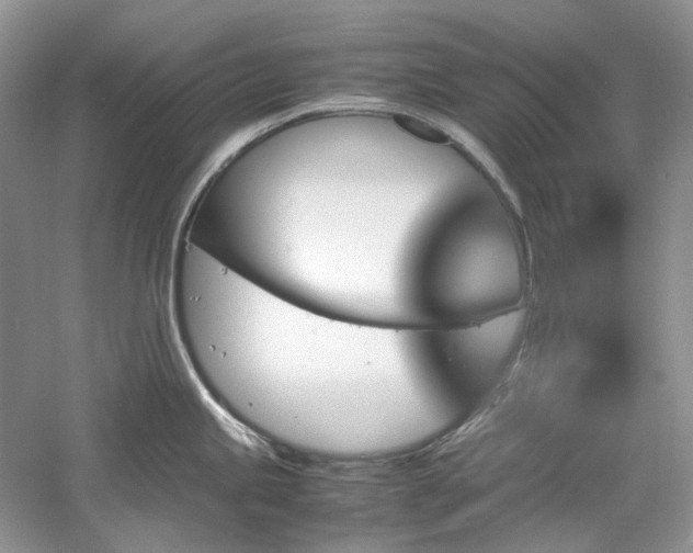 X0000061111245200511181121