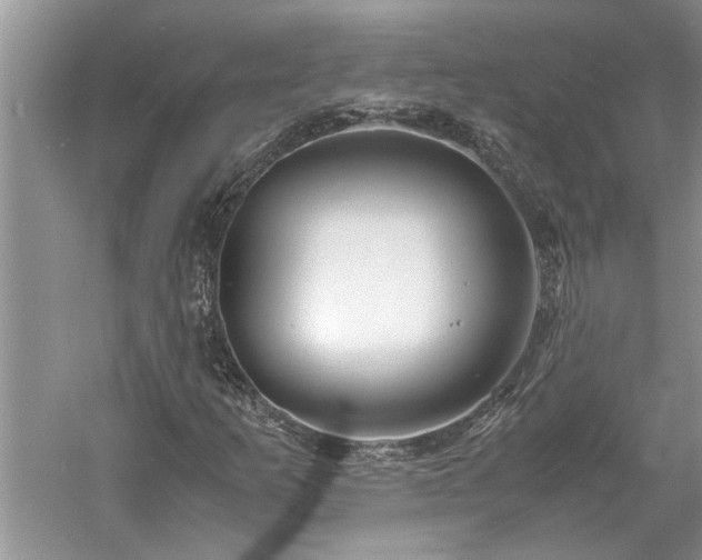 X0000061111253200511181120