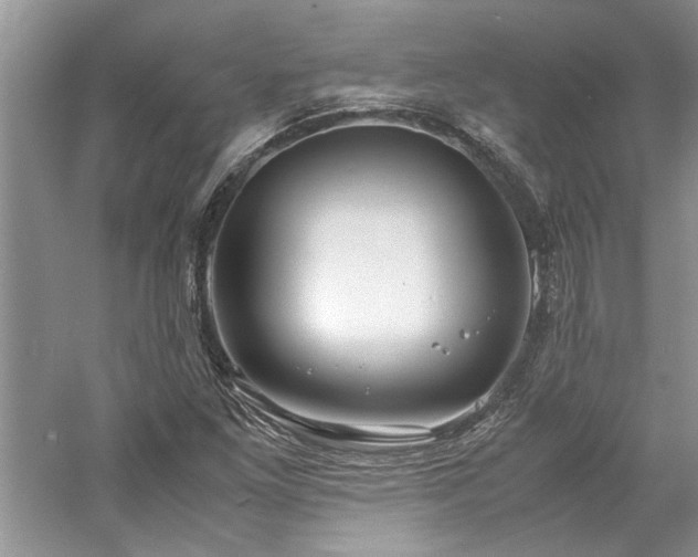 X0000061111261200511181120