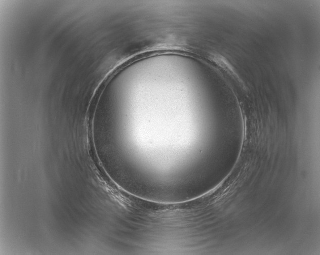 X0000061111268200511181120