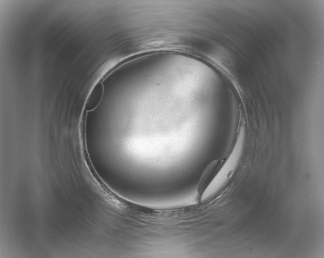 X0000061111291200511181120