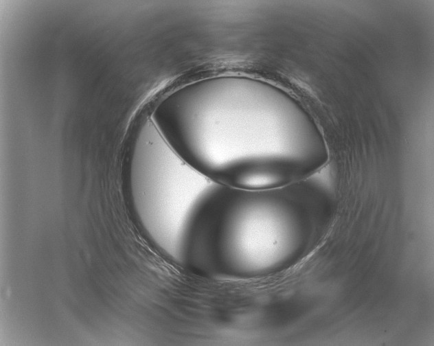 X0000061111309200511181119
