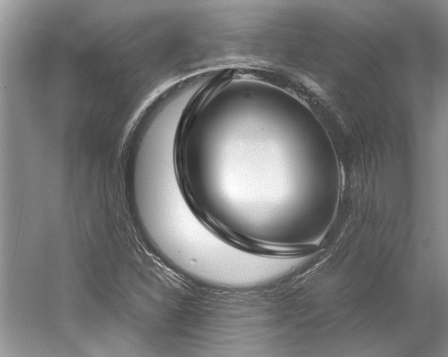 X0000061111310200511181119