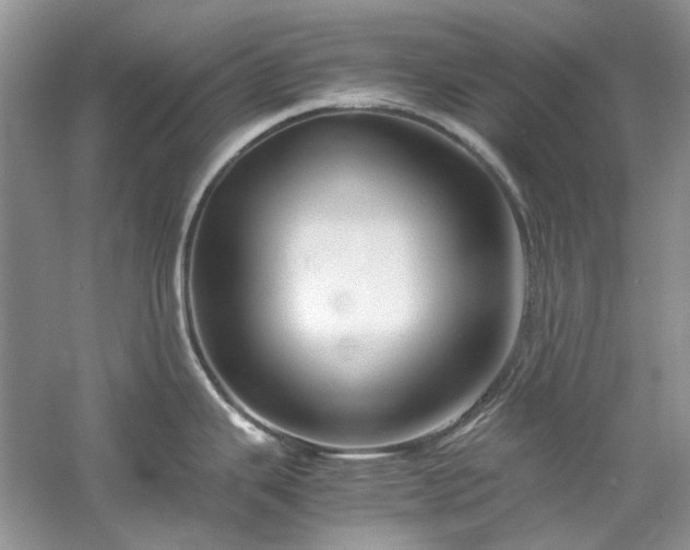 X0000061111343200511181120